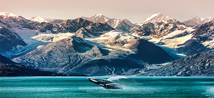 Por los Glaciares de Alaska en Verano Quantum of the Seas