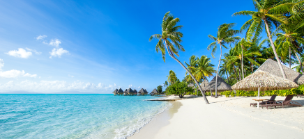 Tropical Getaway in Barbados 3 Days