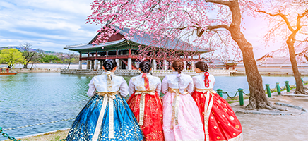 Exploring South Korea