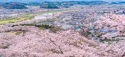 Primavera en Japon