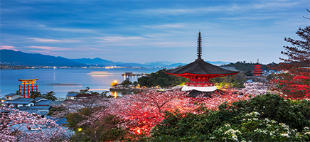 Verano en Japon