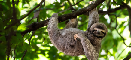 Costa Rica for Lovers