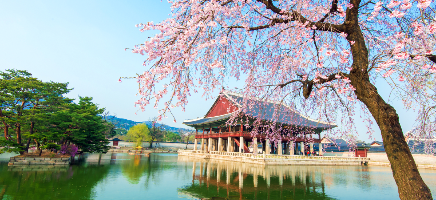 Corea del Sur en Primavera