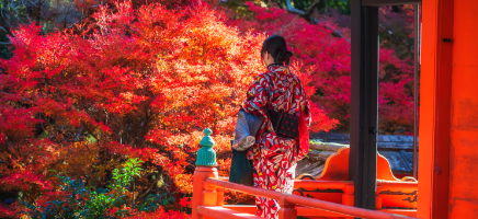 Postales de Japon