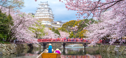  Japon en Primavera